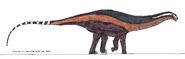 Brontosaurus parvus by bricksmashtv