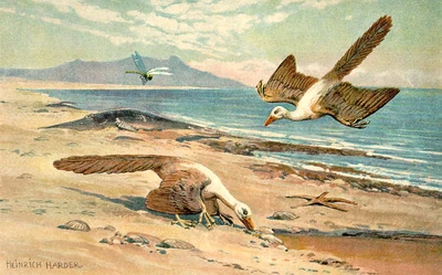 Archeopteryx