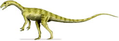 Pantydraco.png