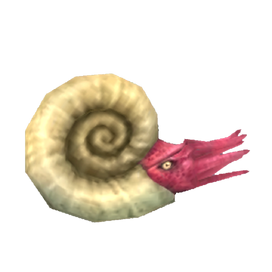 Ammonite-Render