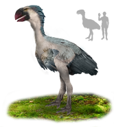 Gastornis