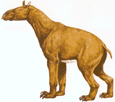 Moropus.gif