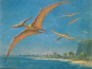 Pteranodonte di Charles Knight