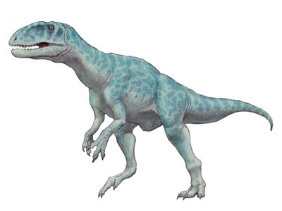 Sinraptor.jpg