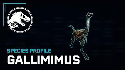 Species Profile - Gallimimus