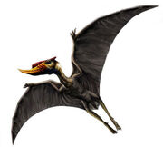 Dsungaripterus.jpg