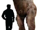 Gigantophitecus