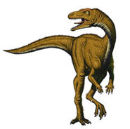 Procompsognathus