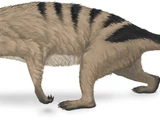 Thrinaxodon