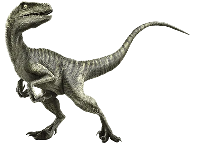 Velociraptor Dinosaur Wiki Fandom