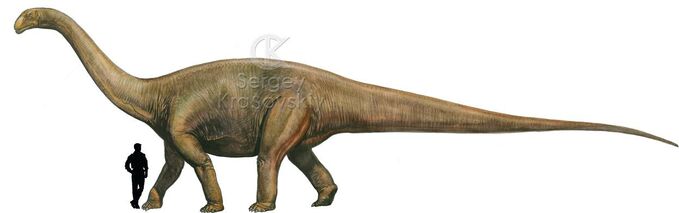 Cetiosaurus