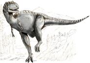 Sketch albertosaurus