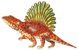 Platyhystrix