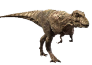 WWD Tarbosaurus render.png