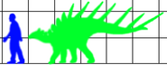 Kentrosaurus scale