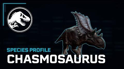 Species Profile - Chasmosaurus