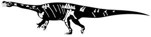 Aardonyx.skeleton