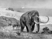 Mastodon large
