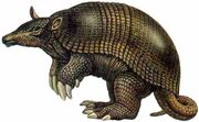 Pampatherium.jpg