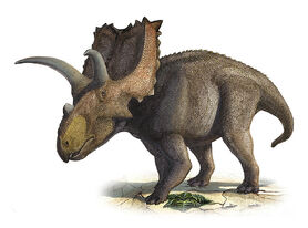 Coahuilaceratops-magnacuerna-sergey-krasovskiy