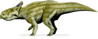 Montanoceratops