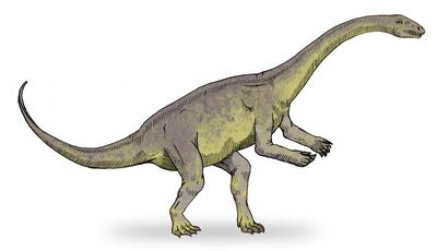 Chebsaurus