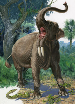 File:Deinotherium.png - Wikimedia Commons