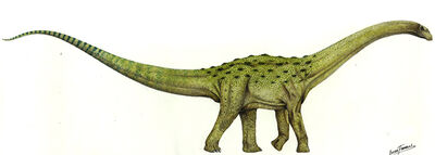 Neuquensaurus.jpg