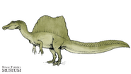 Royal Tyrrell Museum Spinosaurus illustration