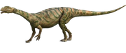 8028671 orig.png