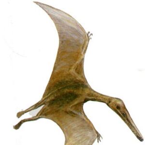 Cearadactylus Gallery Dinosaur Wiki Fandom