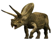 WWD Torosaurus render.png
