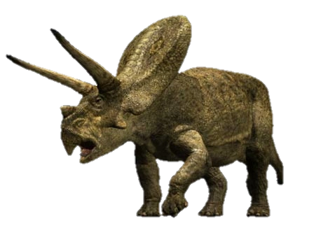 Torosaurus Dinosaur Wiki Fandom