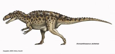 Acrocanthosaurus.jpg