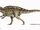 Acrocanthosaurus