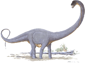 Supersaurus.gif