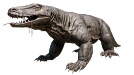 Megalania-1.png