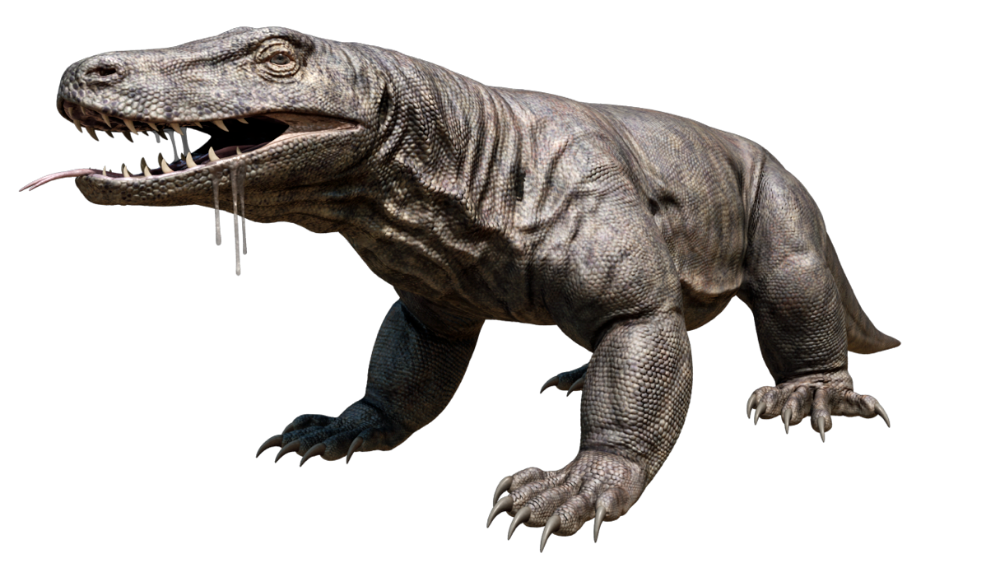 marsupial lion vs megalania