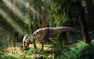 Illustration of Gorgosaurus eating in the forest