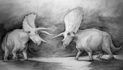 Torosaurus/Gallery | Dinosaur Wiki | Fandom