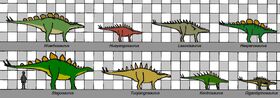 Stegosauria size 012.jpg