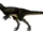 Austroraptor
