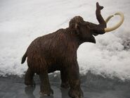 Woolly Mammoth Safari Ltd