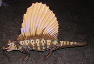 Dimetrodon carnegie