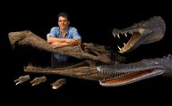 New-crocs.jpg