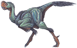 Rinchenia mongoliensis.gif