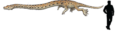 Tanystropheus