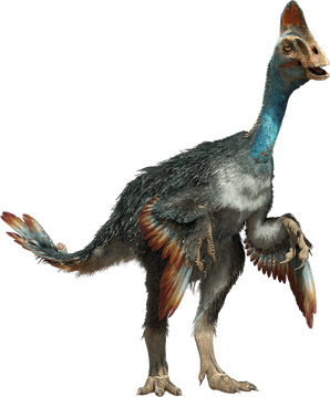 WWDChirostenotes.png