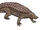 Stagonolepis