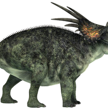 Styracosaurus Dinosaur Wiki Fandom - styracosaurus dinosaur wiki fandom t rex skeleton roblox wikia fandom Styracosaurus Dinosaur Wiki Fandom - t rex skeleton roblox wikia fandom